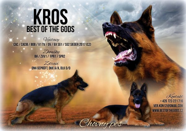 Kros