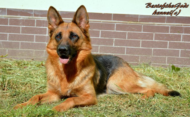 DSC 0161 - kopie