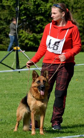 DSC 0261 - kopie