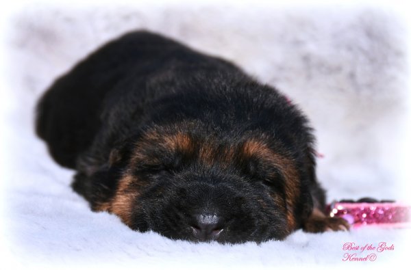 DSC 6883