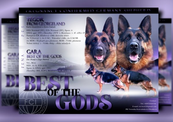 BEST of the gods 2 final - kopie