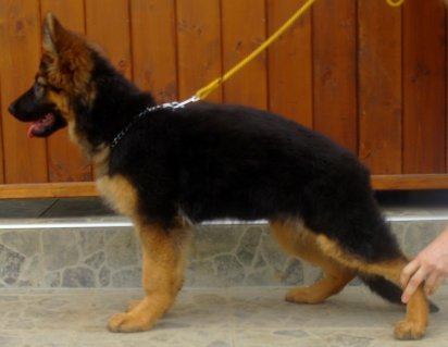 sam_3141.jpg
