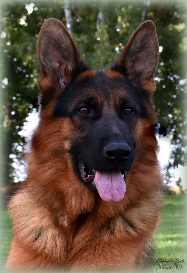 DSC 1174