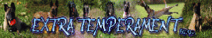 hd-bg