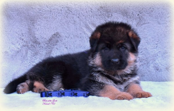 DSC 6693
