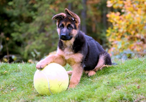 IMG-20241224-WA0005