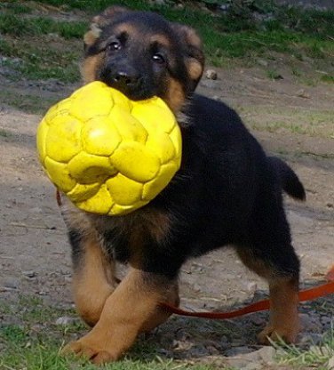 sam_6226.jpg