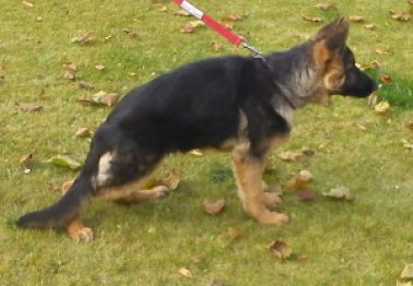 dsc00052.jpg