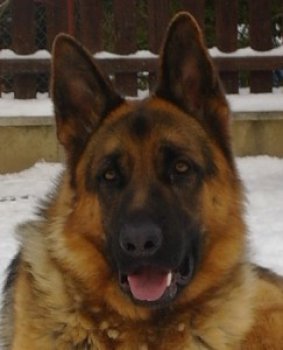 sam_3859.jpg