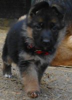 sam_9804.jpg
