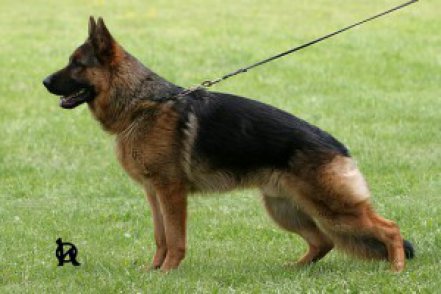 nexx_obrana_yucci_xarra-009.jpg