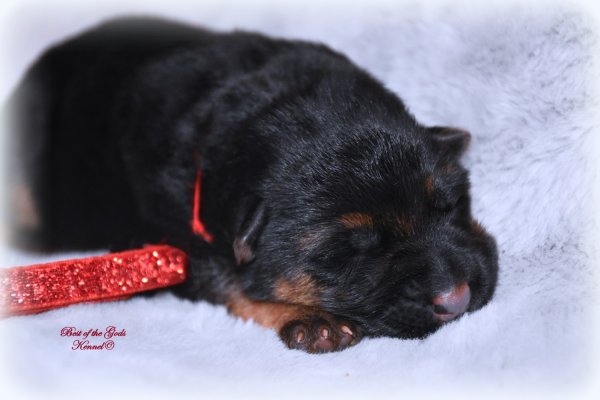 DSC 6182