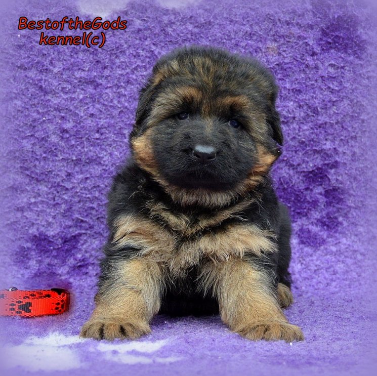 DSC 0319