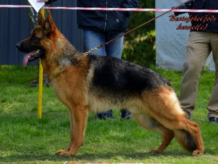 DSC 0264 - kopie