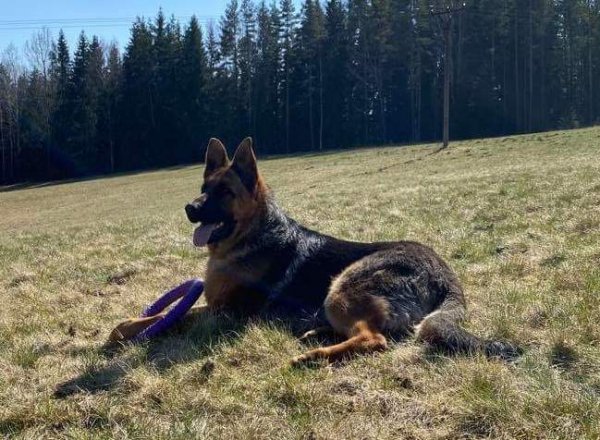 received 217697295999753