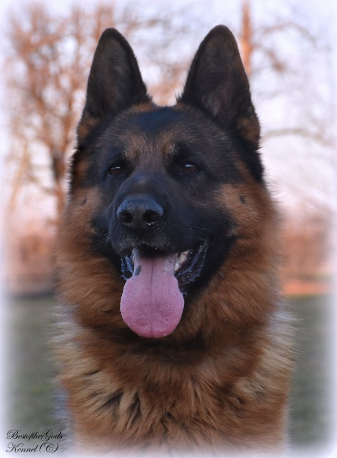 DSC 0560 - kopie