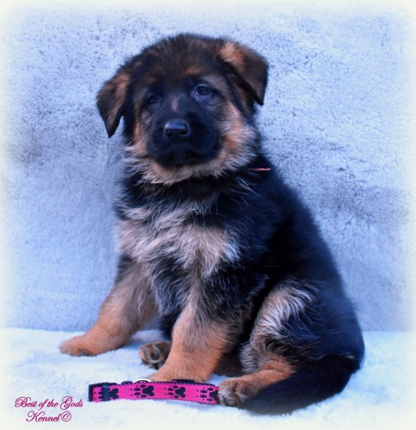 DSC 3543