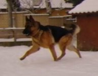 sam_3876.jpg