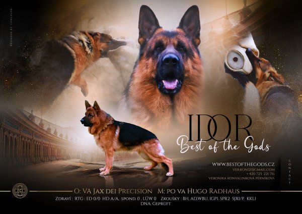 idor