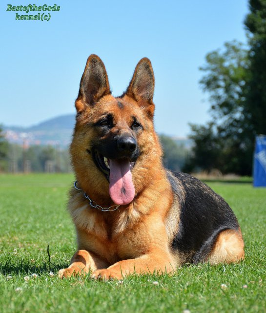 DSC 0231