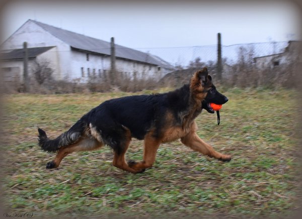 DSC 3618