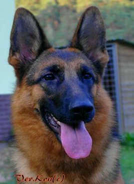 SAM 0836