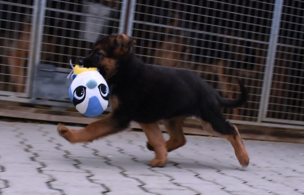 DSC 0050