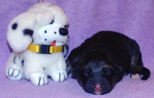 sam_6054.jpg