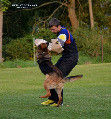 DSC 1062