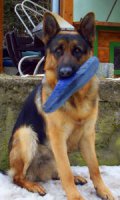 100_5027.jpg