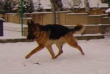 sam_3878.jpg