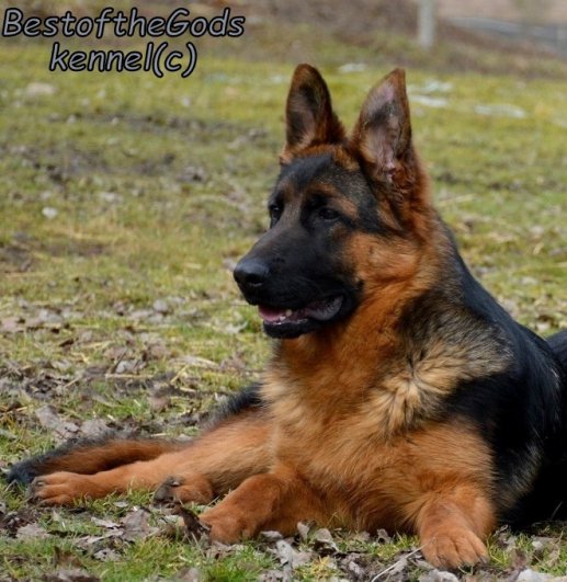 DSC 0273 - kopie