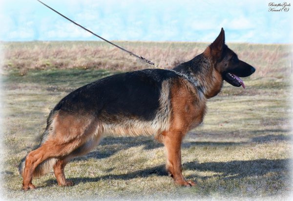 DSC 8608 - kopie
