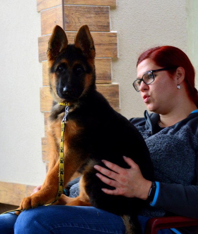 DSC 1895