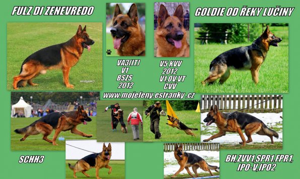 gol-fulz.jpg