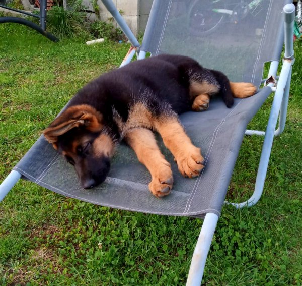 IMG-20200930-WA0000
