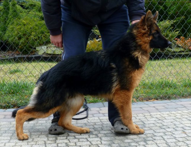 Gina 6měs - kopie