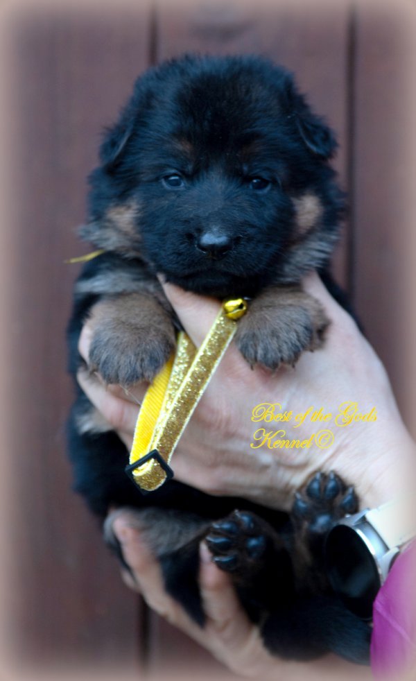 DSC 8857-2