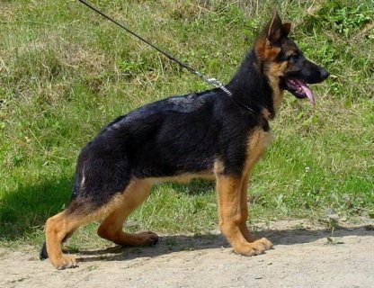 sam_9379.jpg