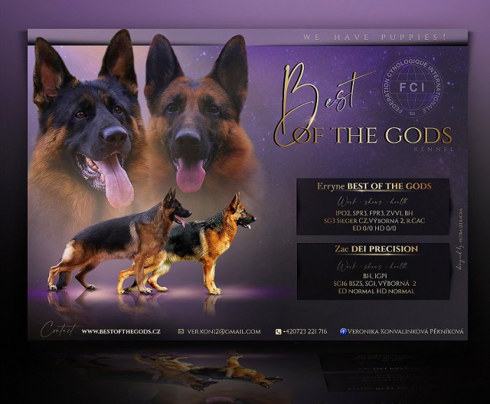 bestofgodsprezentace1