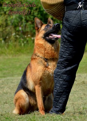 DSC 0825 - kopie