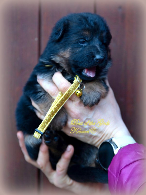 DSC 8851