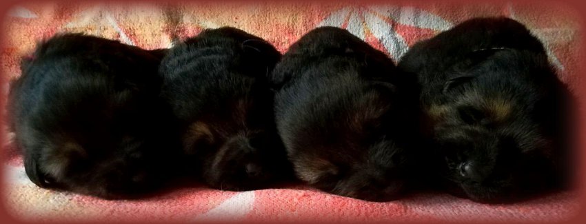 IMG-20180313-WA0014