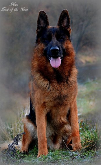 DSC 1367
