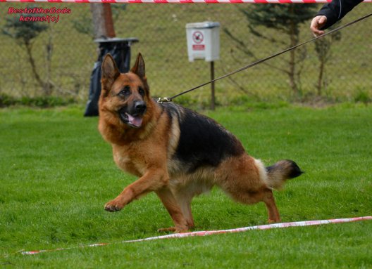 DSC 0273 - kopie