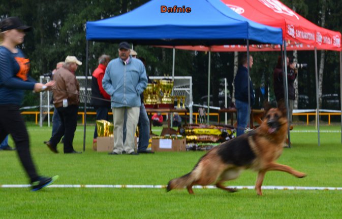 DSC 1177