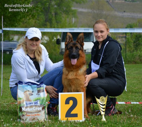 DSC 0043