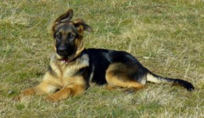 brixie-5mes..jpg