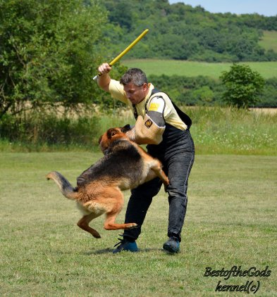 DSC 0789 - kopie