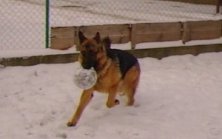 sam_3866.jpg